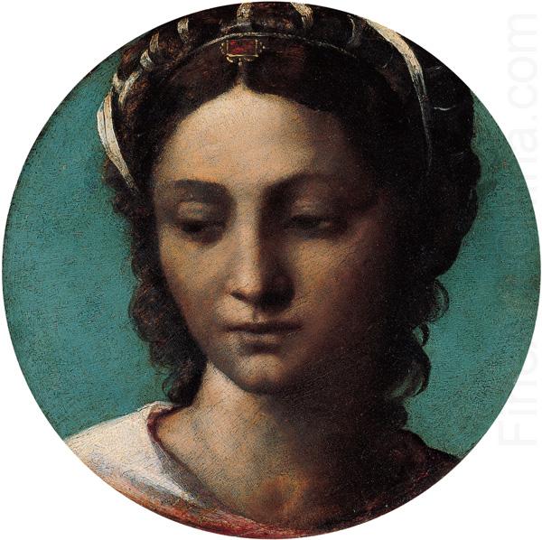 Head of a Woman, Sebastiano del Piombo